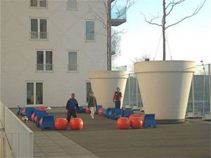 Bomenbevrijdingsfront