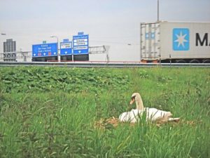 Domweg gelukkig aan de A4