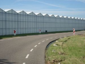 Fietsen langs glazen muren