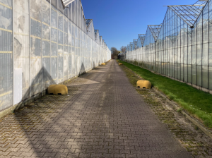 Op de pedalen met Nikol Dietz