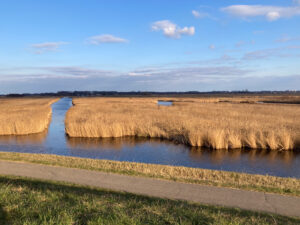 Knooppunt Zaandam