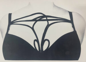 Knooppunt Terbregseplein