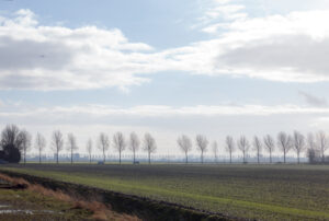 Polderstad: de klimaatbestendige stad voor de toekomst